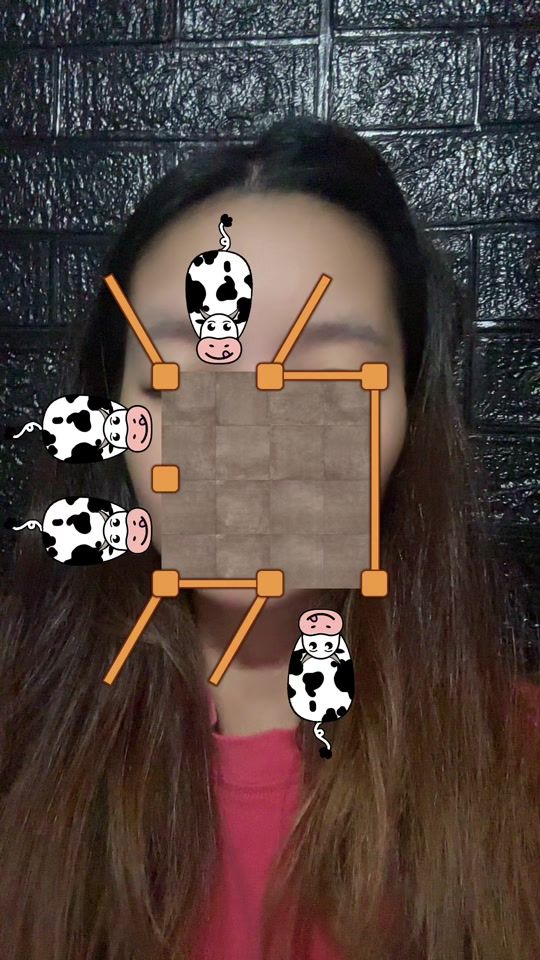 TikTok video thumbnail by rayjiwjeed