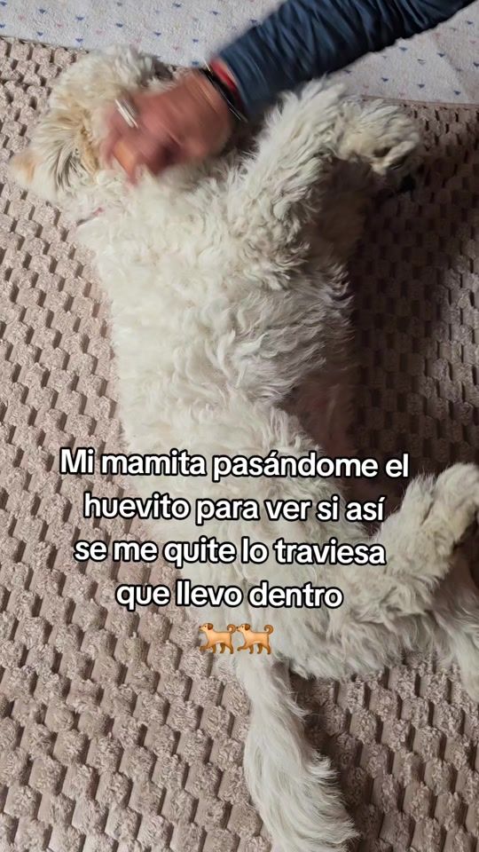 TikTok video thumbnail by moniferiaec