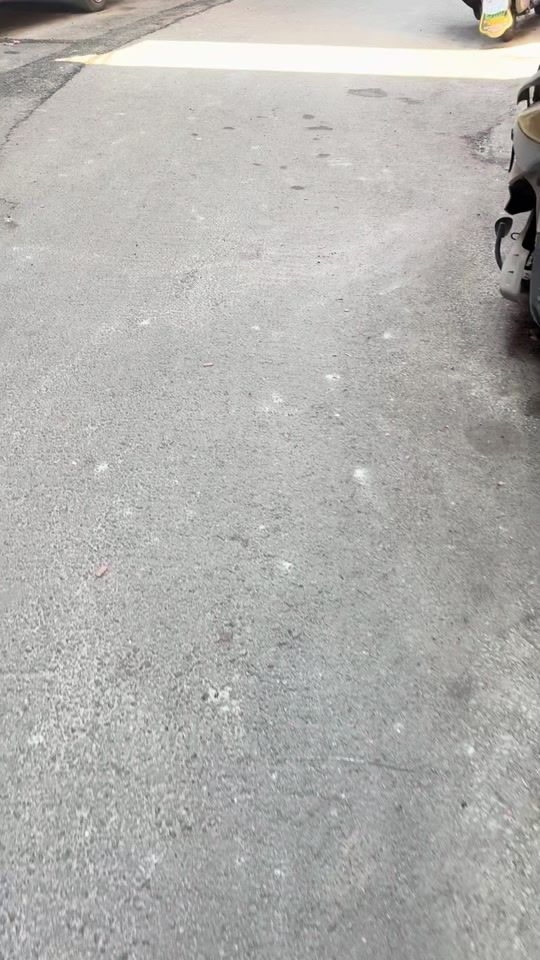 TikTok video thumbnail by petlovefunny47
