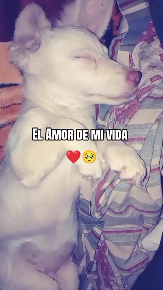 TikTok video thumbnail by ari6.2