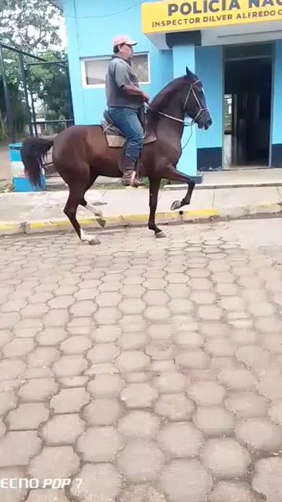 TikTok video thumbnail by jadermatuslazo