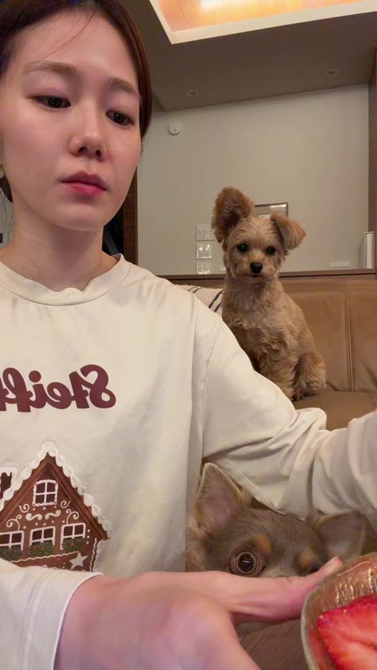 TikTok video thumbnail by aoi11260