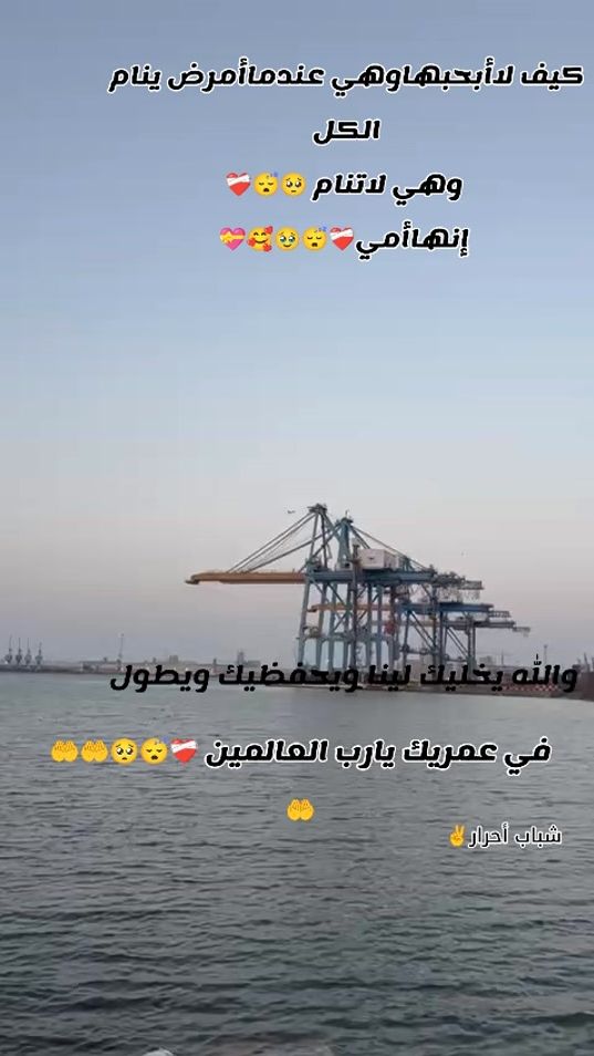 TikTok video thumbnail by user6166171707381