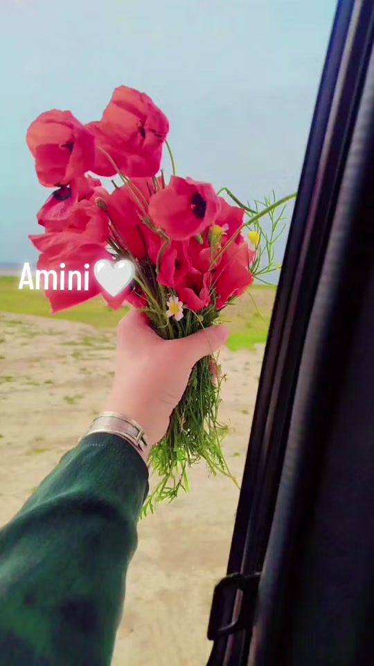 TikTok video thumbnail by marrijan01