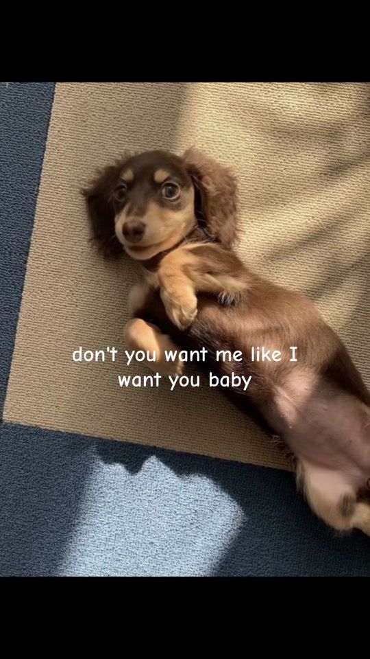 TikTok video thumbnail by parm_920