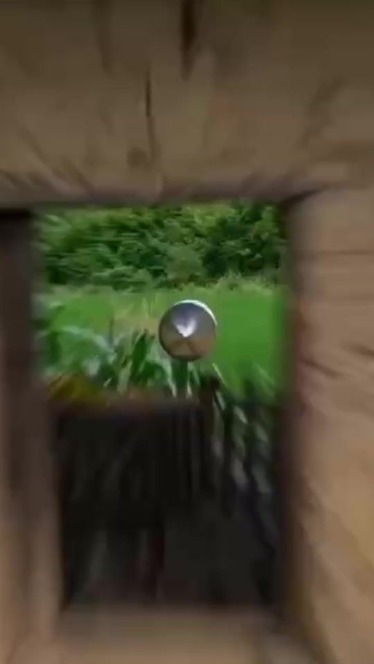 TikTok video thumbnail by oliveallen55