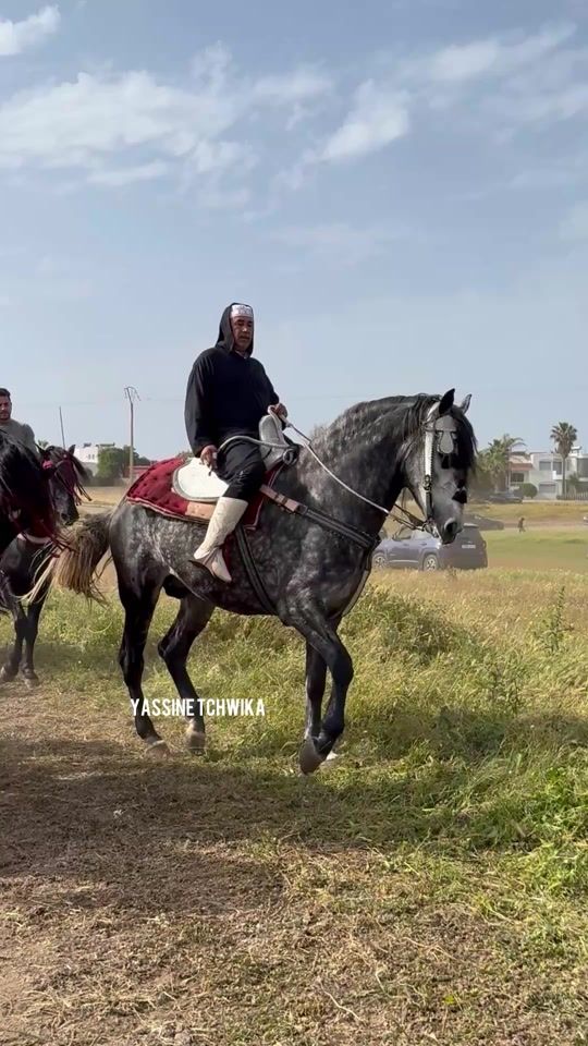 TikTok video thumbnail by yassine.tchwika1