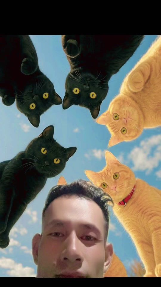 TikTok video thumbnail by udkhenrab1995