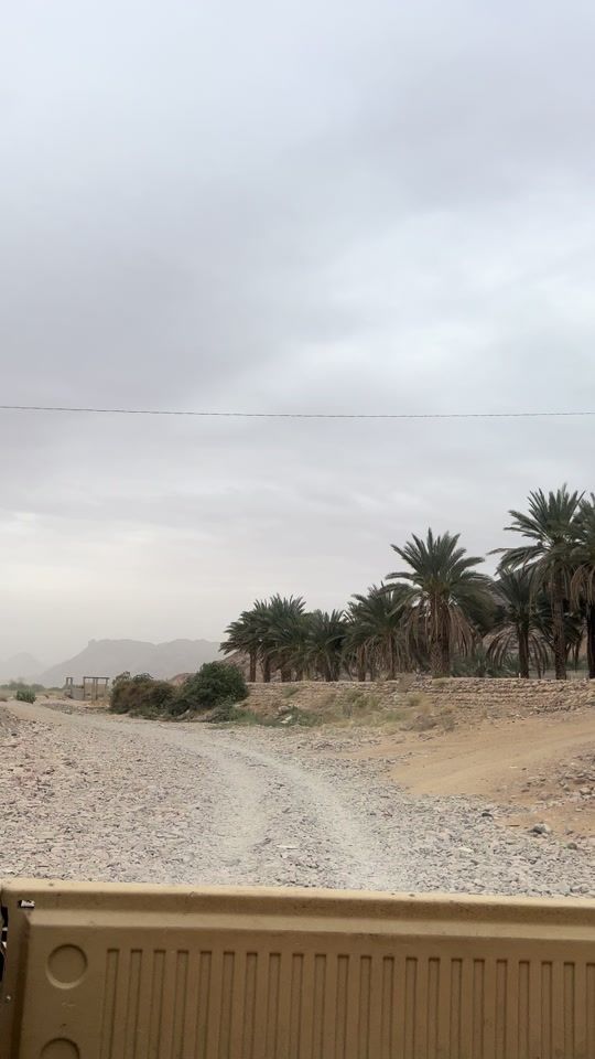 TikTok video thumbnail by mu.604