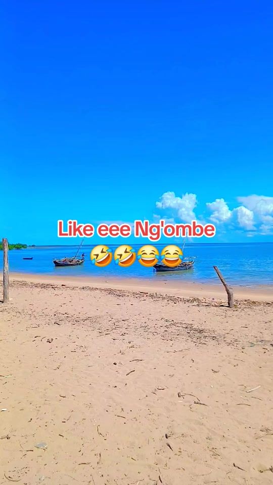 TikTok video thumbnail by sami__yahe