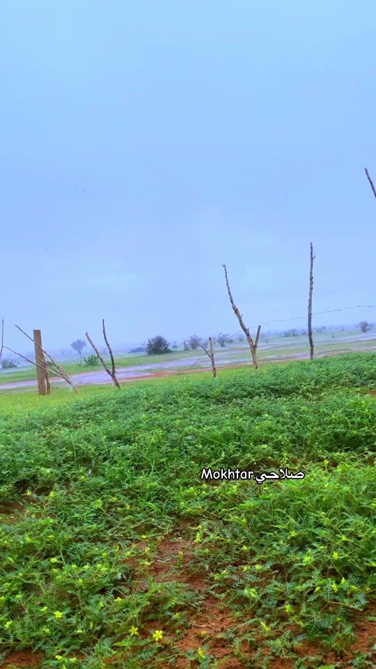 TikTok video thumbnail by mokhtarsellahi2