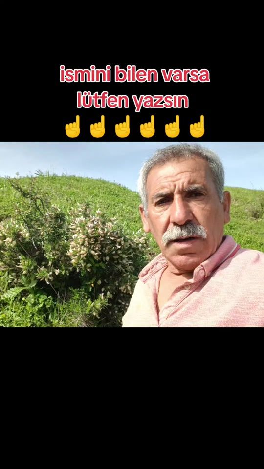 TikTok video thumbnail by abdullah.yagan.73
