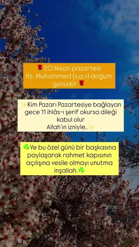 TikTok video thumbnail by zarifbirsevda