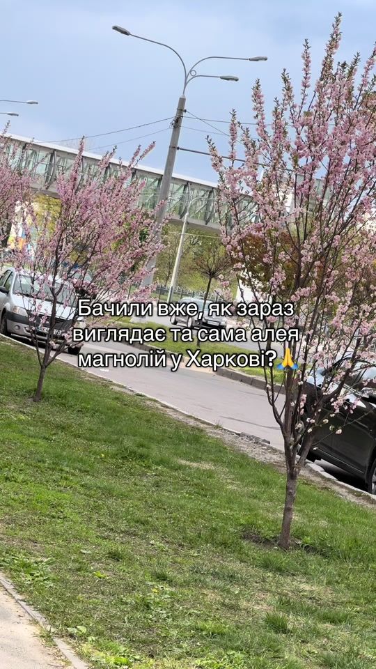 TikTok video thumbnail by mike_grekov