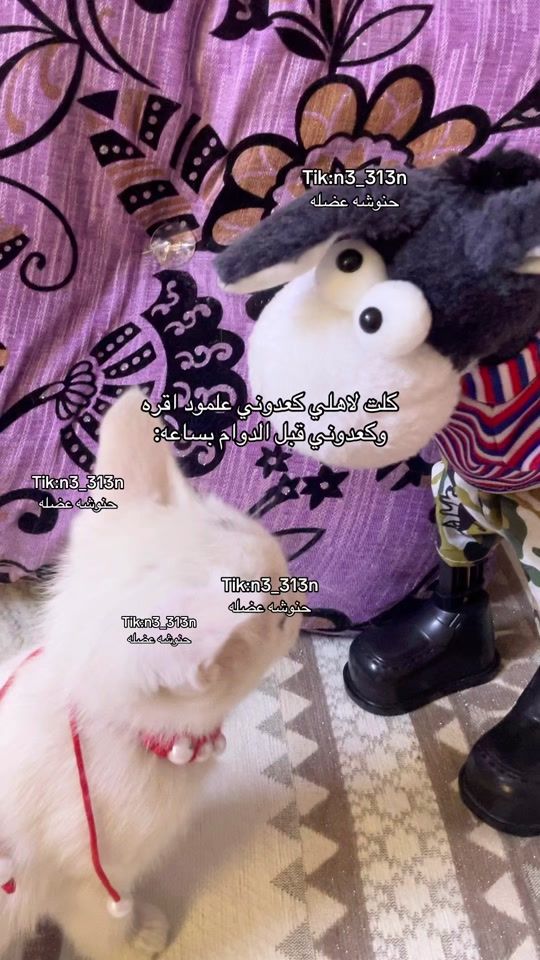 TikTok video thumbnail by n3_313n