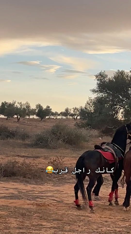 TikTok video thumbnail by abdo_halfaya2