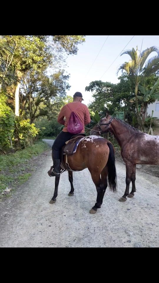 TikTok video thumbnail by darlinrodriguez706