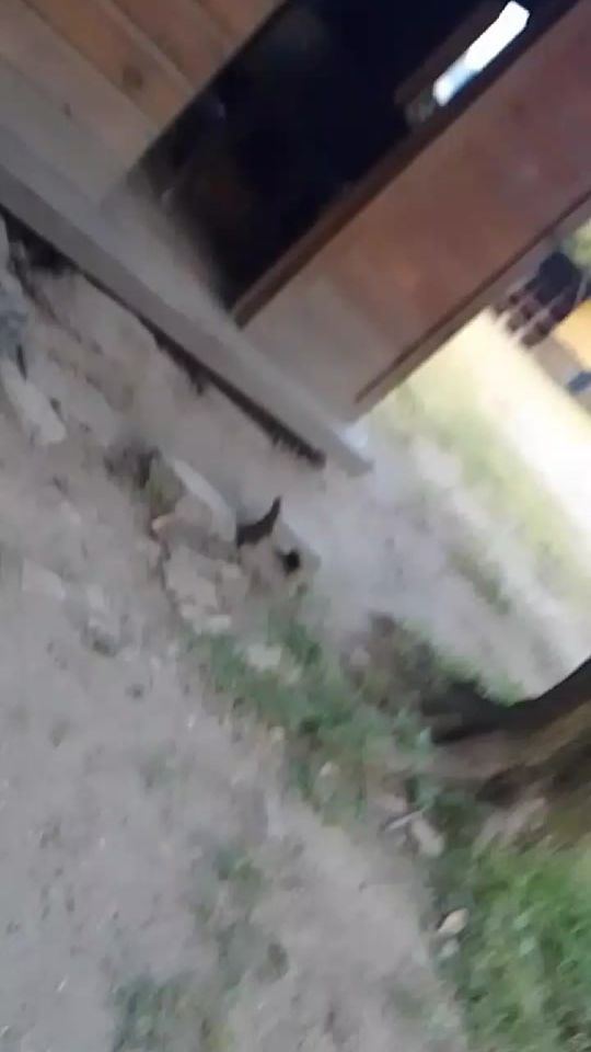 TikTok video thumbnail by aguila_034