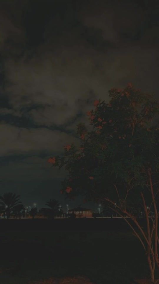 TikTok video thumbnail by irzzz_writes