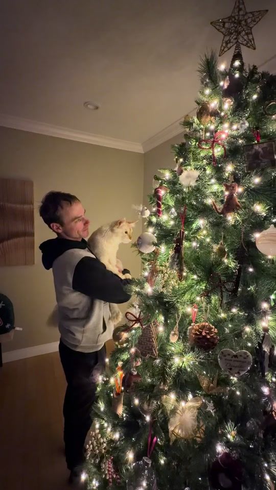 TikTok video thumbnail by a.cat.named.fig