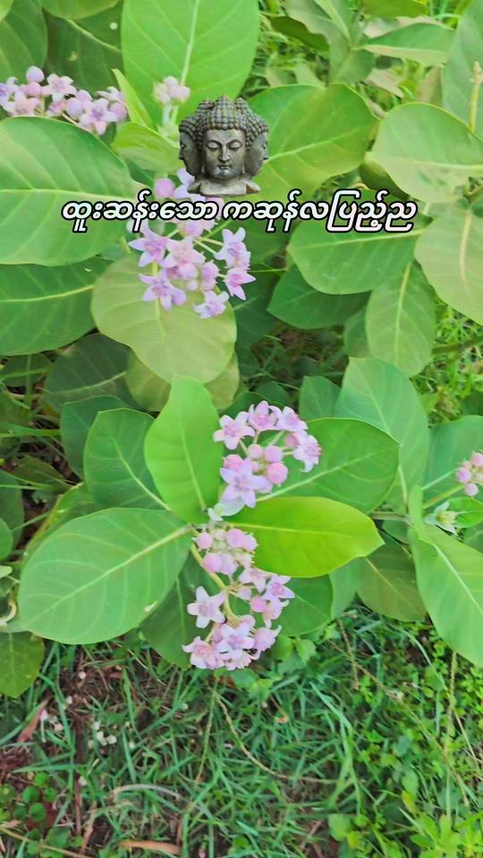 TikTok video thumbnail by .zero665
