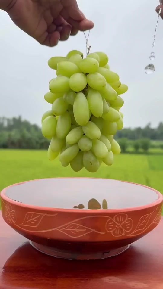 TikTok video thumbnail by user164846199