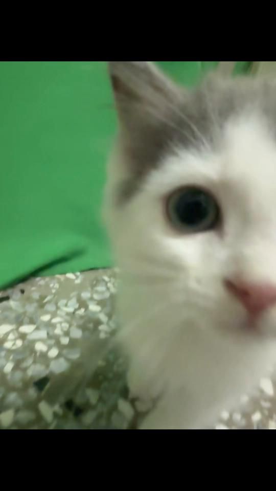 TikTok video thumbnail by 06_09shegu