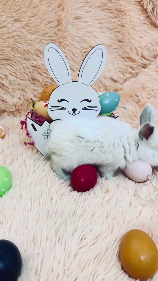 TikTok video thumbnail by vlada_b833
