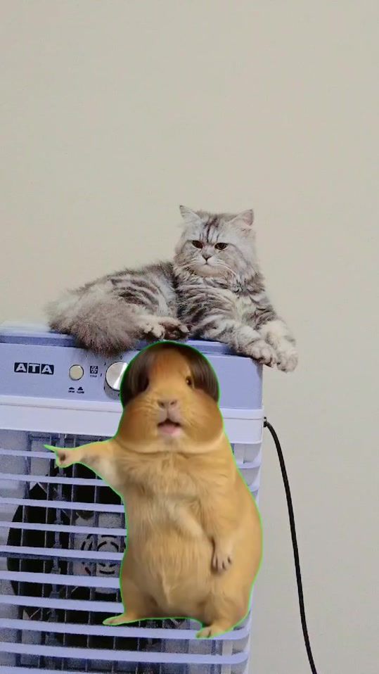 TikTok video thumbnail by nada_mustafa50