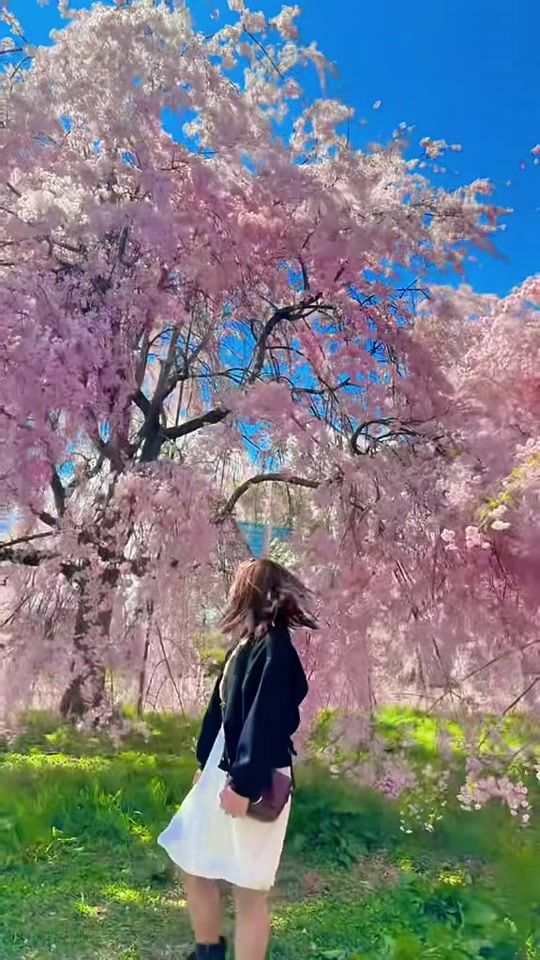 TikTok video thumbnail by nang.eit