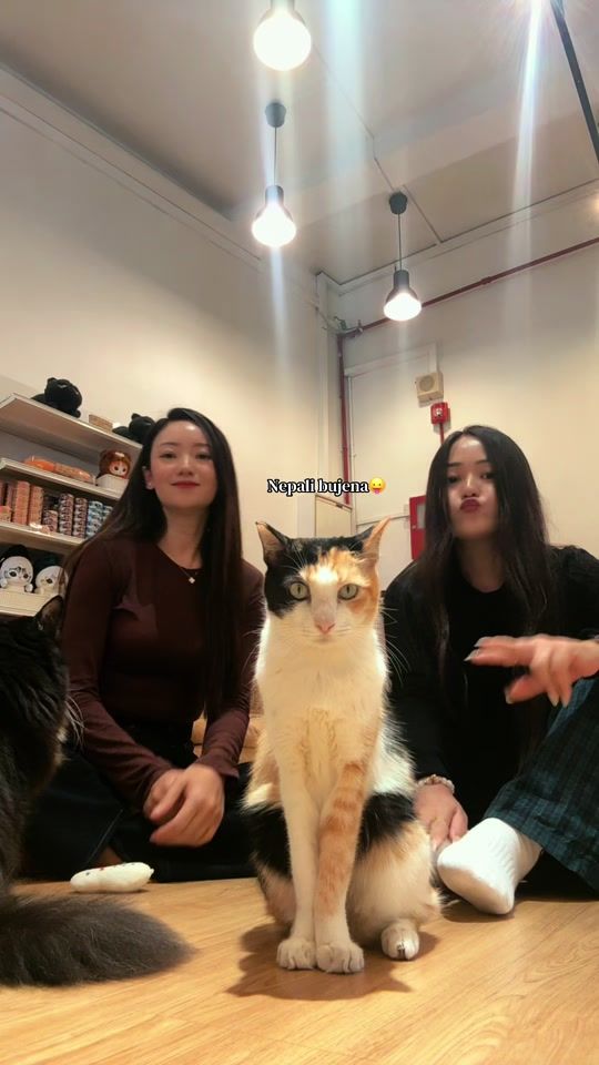 TikTok video thumbnail by kanchii__ale