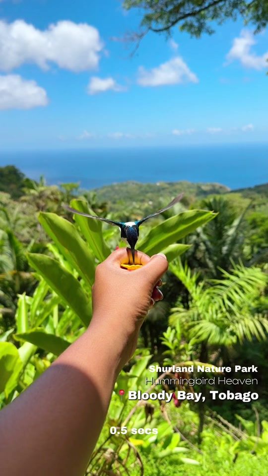 TikTok video thumbnail by danahpersad