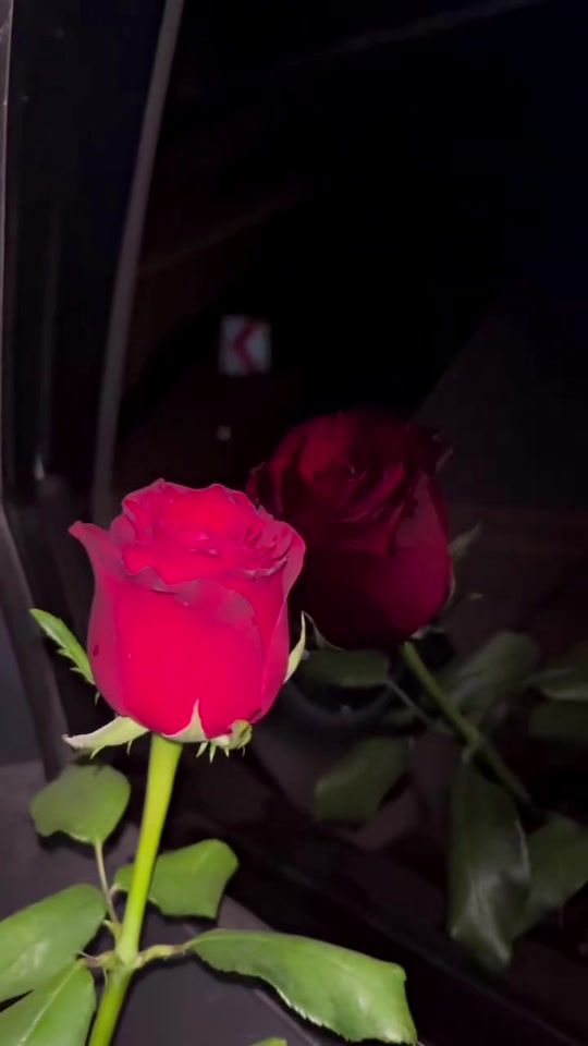 TikTok video thumbnail by senascan