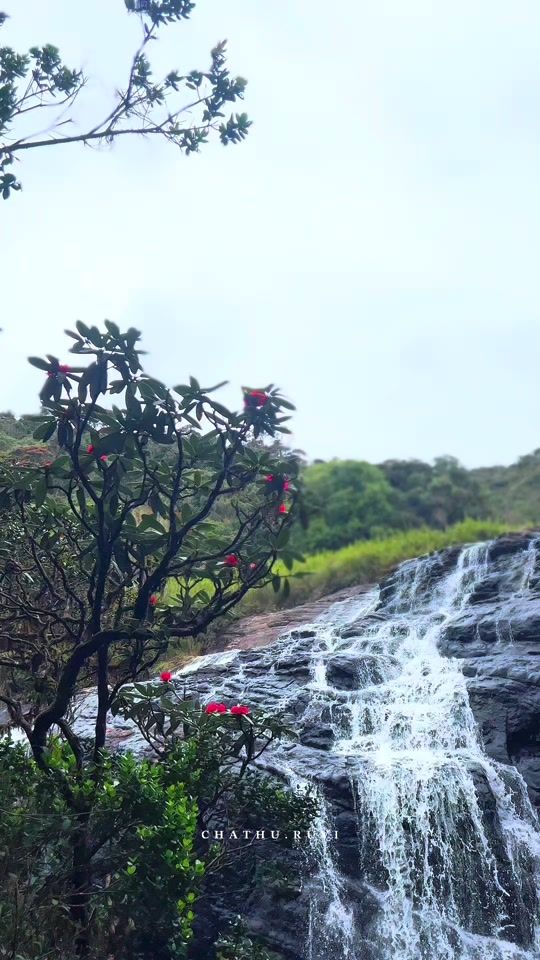 TikTok video thumbnail by chathu.ruvi