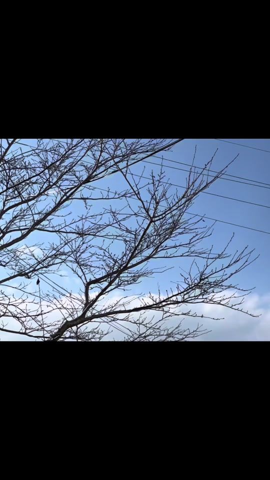 TikTok video thumbnail by zzu_album