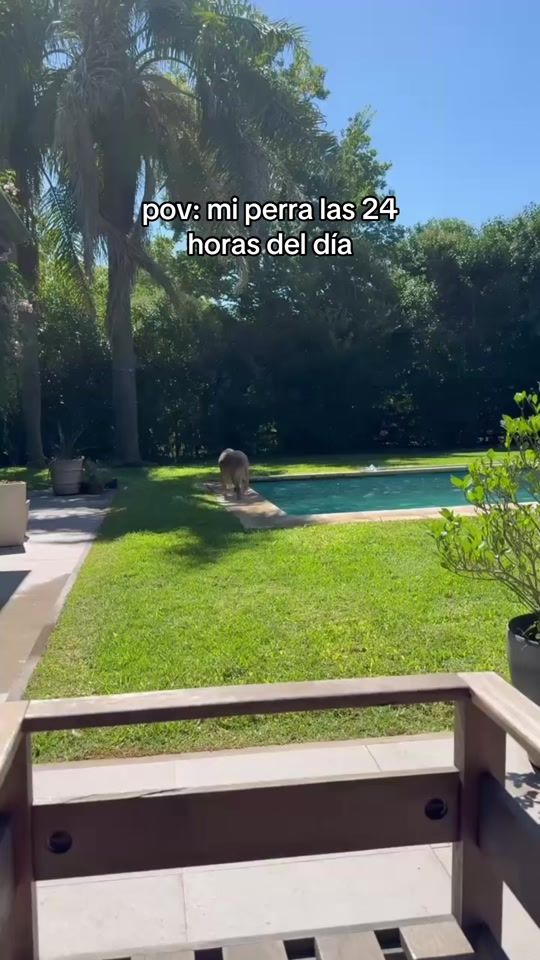 TikTok video thumbnail by catamoyano