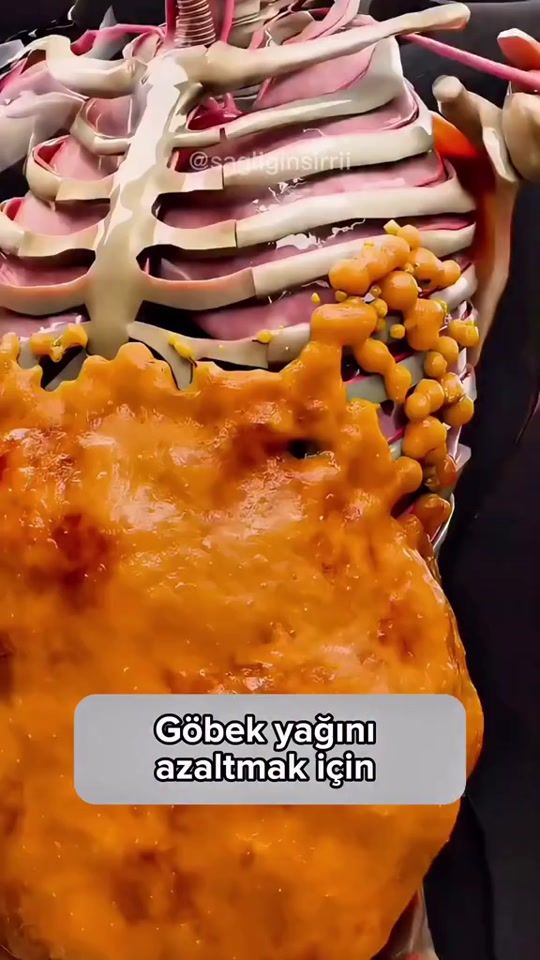 TikTok video thumbnail by frklblgi_01907