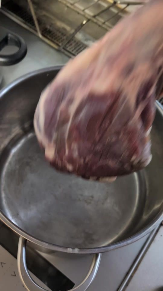 TikTok video thumbnail by wannyancamp