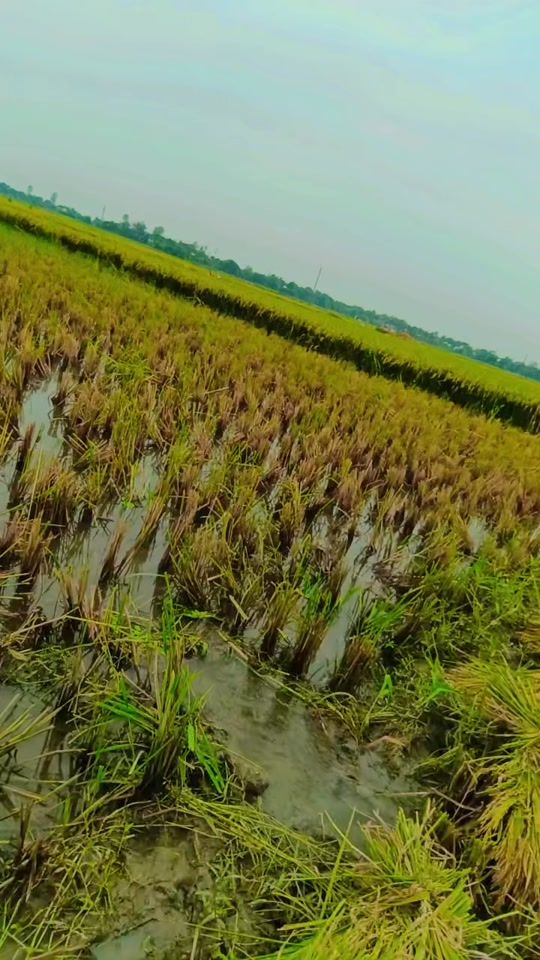 TikTok video thumbnail by riyas826