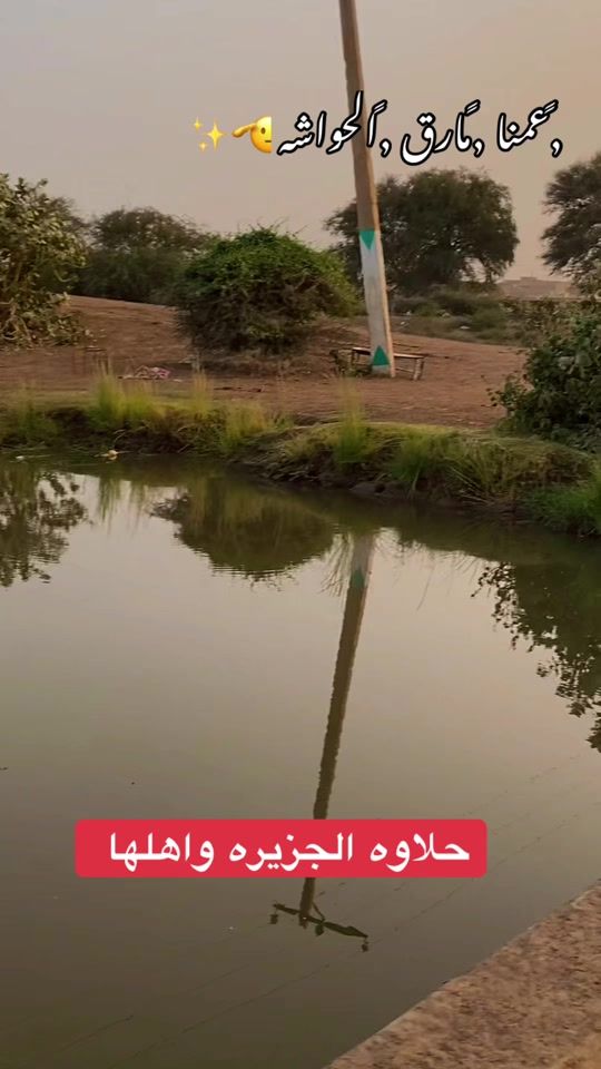 TikTok video thumbnail by alkahili65