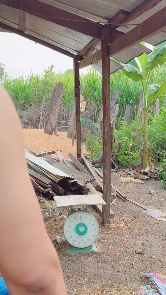 TikTok video thumbnail by bro_la_tbk