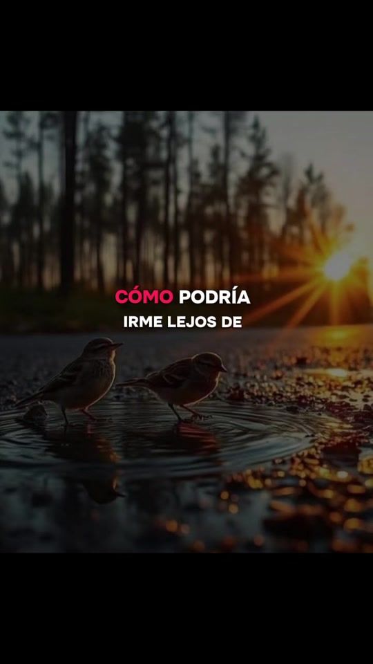 TikTok video thumbnail by florilux103