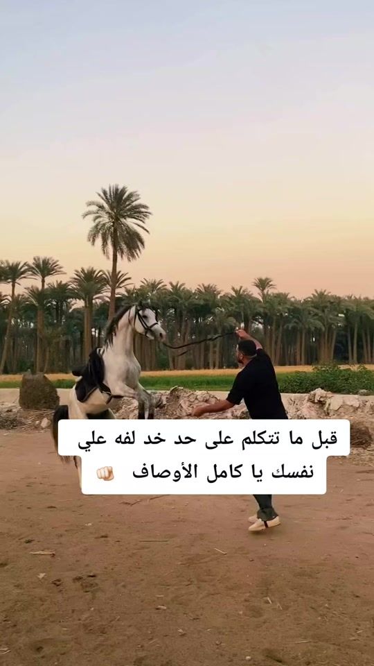 TikTok video thumbnail by freska093