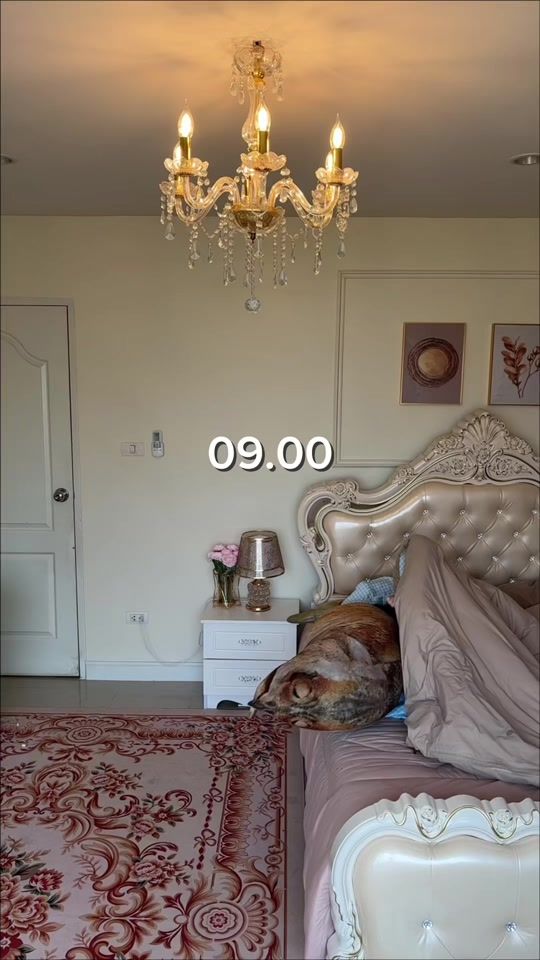 TikTok video thumbnail by ha_hed_channel