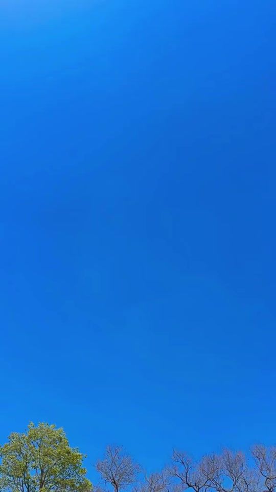 TikTok video thumbnail by sai_____moon