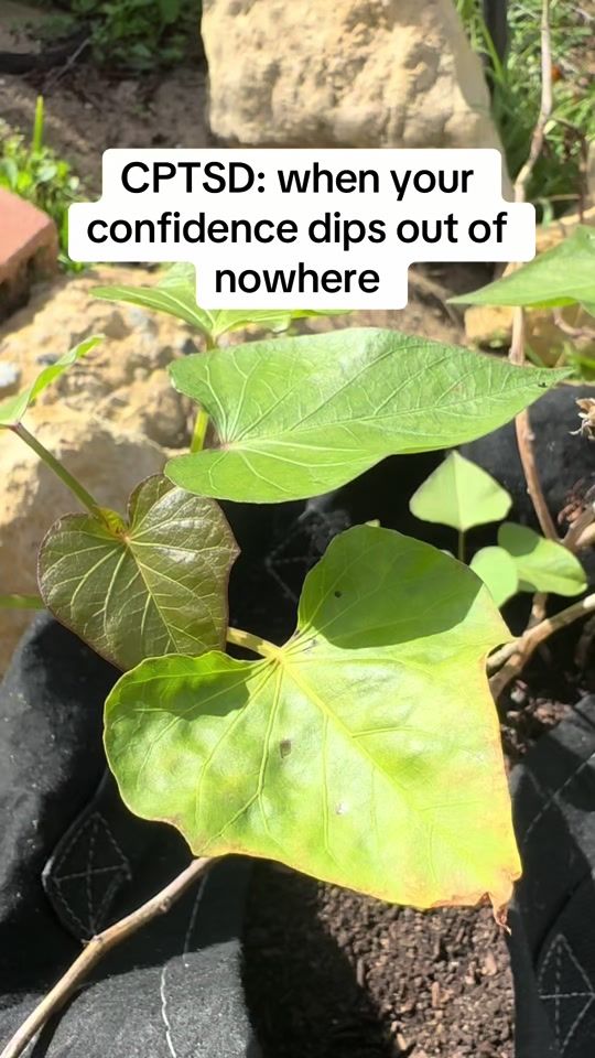 TikTok video thumbnail by dalsahotaa