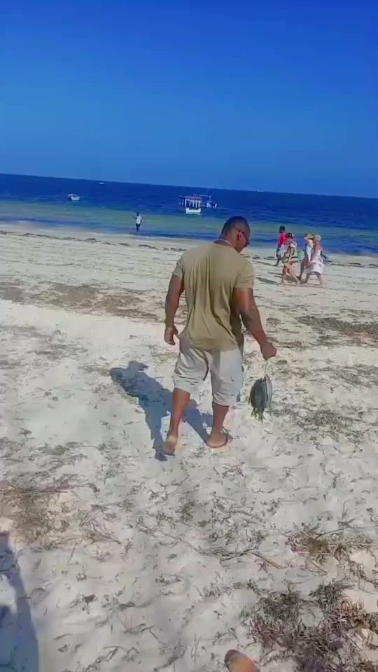 TikTok video thumbnail by gimmie2