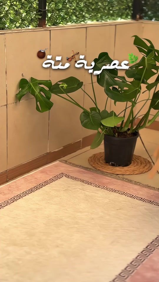 TikTok video thumbnail by ._s_e_b_a