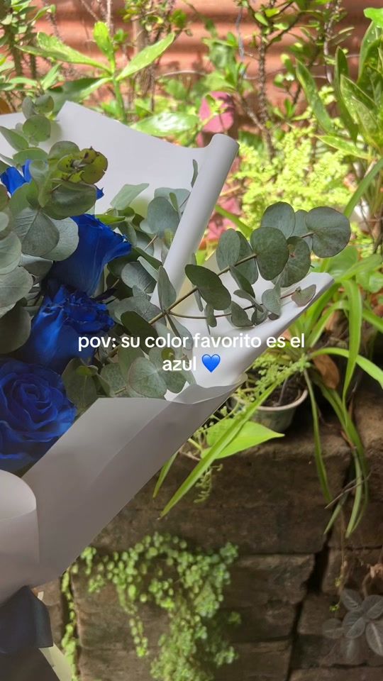TikTok video thumbnail by isas_blooms