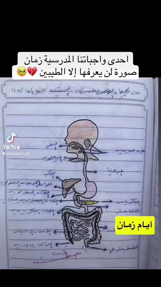 TikTok video thumbnail by nadoshnadosh237